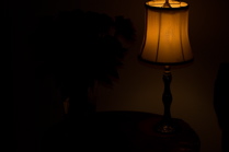 Dark - Rose Lamp